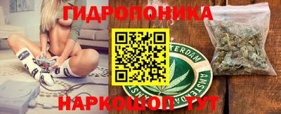 не бодяженный Кингисепп
