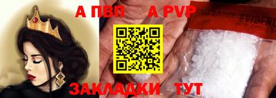 не бодяженный Кингисепп