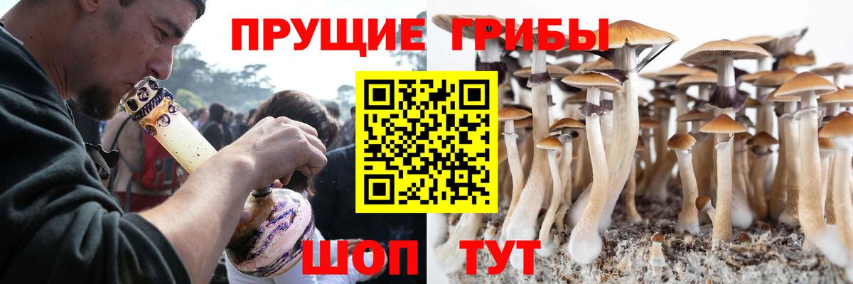 Галлюциногенные грибы MAGIC MUSHROOMS  Галлюциногенные грибы Psilocybe  Орехово-Зуево  Вход с VPN 